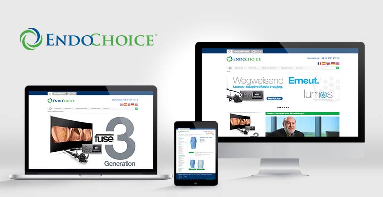 WPML Wordpress Webseite für die EndoChoice GmbH (Europa)